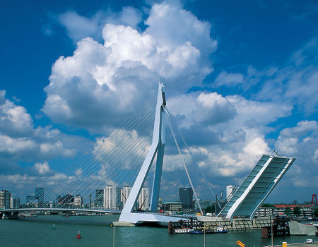 erasmus bridge